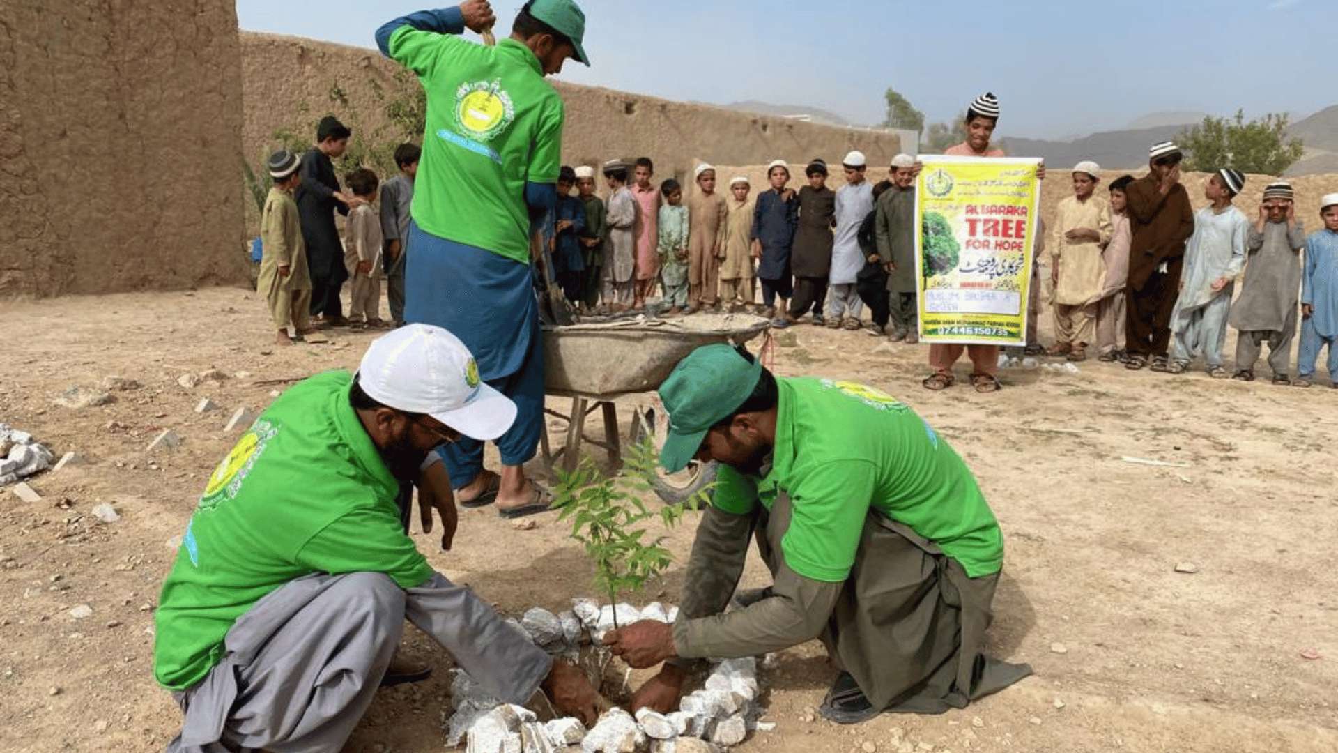 Tree Project Image 1